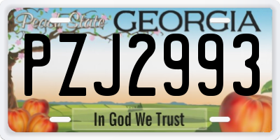 GA license plate PZJ2993
