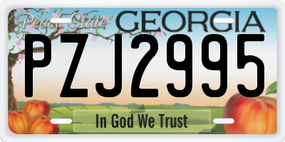 GA license plate PZJ2995