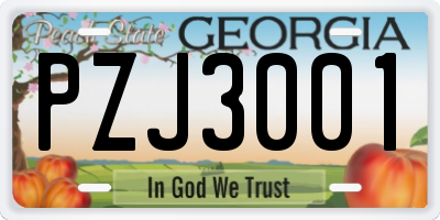 GA license plate PZJ3001