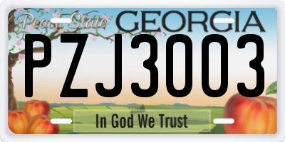 GA license plate PZJ3003
