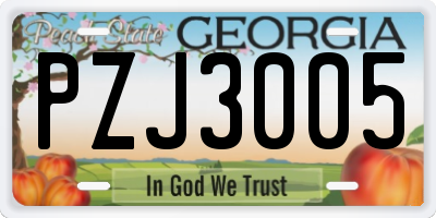 GA license plate PZJ3005