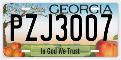 GA license plate PZJ3007