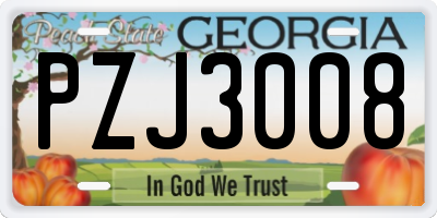 GA license plate PZJ3008