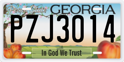 GA license plate PZJ3014