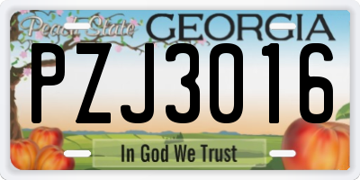GA license plate PZJ3016