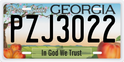 GA license plate PZJ3022