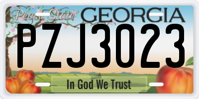 GA license plate PZJ3023