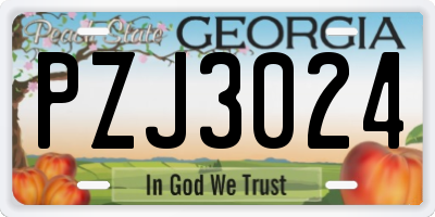 GA license plate PZJ3024