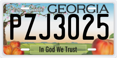 GA license plate PZJ3025