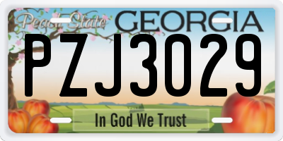 GA license plate PZJ3029