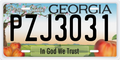 GA license plate PZJ3031