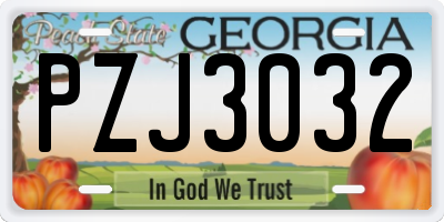 GA license plate PZJ3032