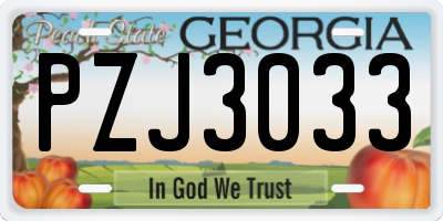 GA license plate PZJ3033