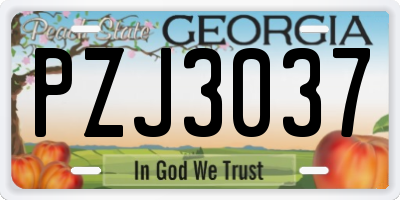 GA license plate PZJ3037