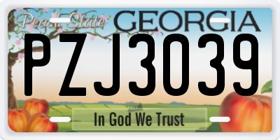 GA license plate PZJ3039