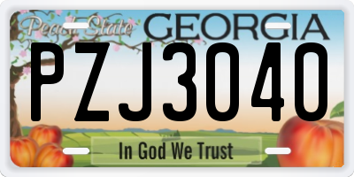 GA license plate PZJ3040