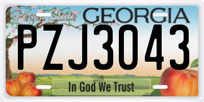 GA license plate PZJ3043