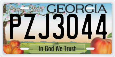 GA license plate PZJ3044