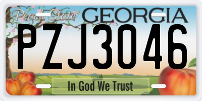 GA license plate PZJ3046