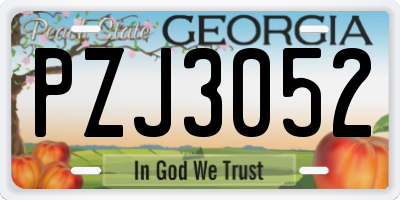 GA license plate PZJ3052
