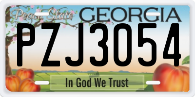 GA license plate PZJ3054