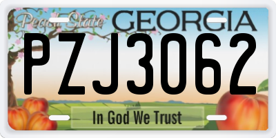 GA license plate PZJ3062