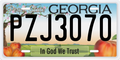 GA license plate PZJ3070