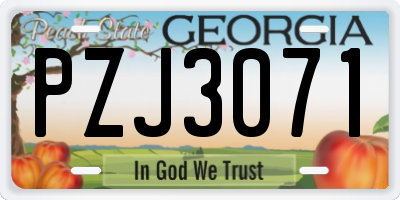 GA license plate PZJ3071