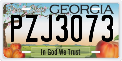 GA license plate PZJ3073