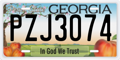 GA license plate PZJ3074