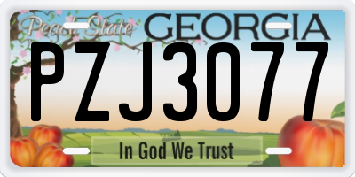 GA license plate PZJ3077