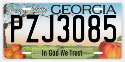GA license plate PZJ3085