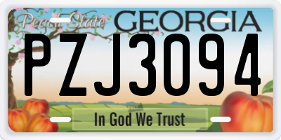 GA license plate PZJ3094