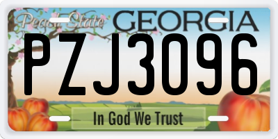 GA license plate PZJ3096