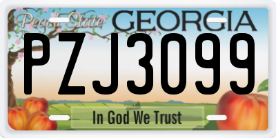 GA license plate PZJ3099