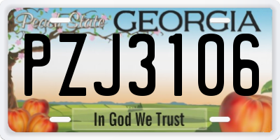 GA license plate PZJ3106