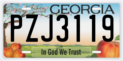 GA license plate PZJ3119