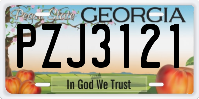 GA license plate PZJ3121