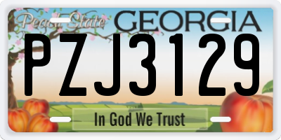 GA license plate PZJ3129