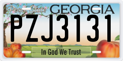 GA license plate PZJ3131