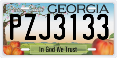 GA license plate PZJ3133