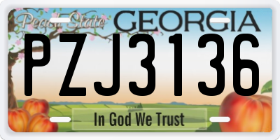 GA license plate PZJ3136