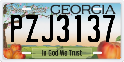 GA license plate PZJ3137