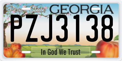 GA license plate PZJ3138