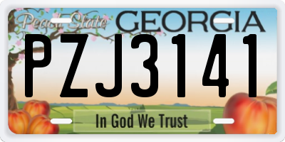 GA license plate PZJ3141