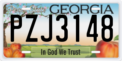 GA license plate PZJ3148