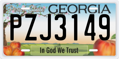 GA license plate PZJ3149