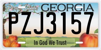 GA license plate PZJ3157