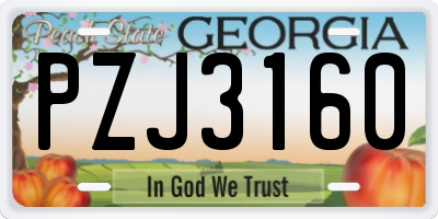 GA license plate PZJ3160