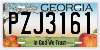 GA license plate PZJ3161